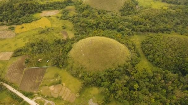 Шоколадні пагорби в Бохол, Філіппіни, пташиного польоту. — стокове відео