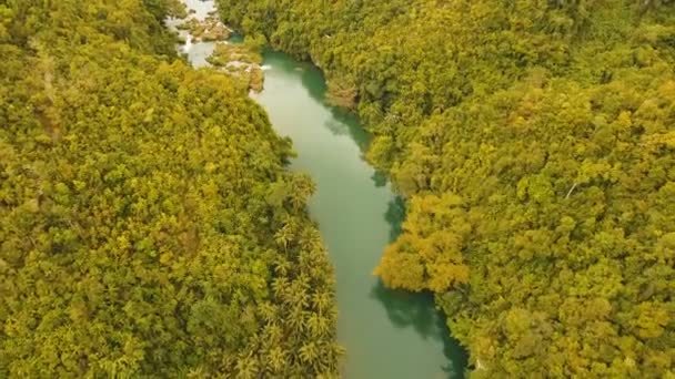 Loboc річка в тропічному лісі Філіппіни, Бохол. — стокове відео