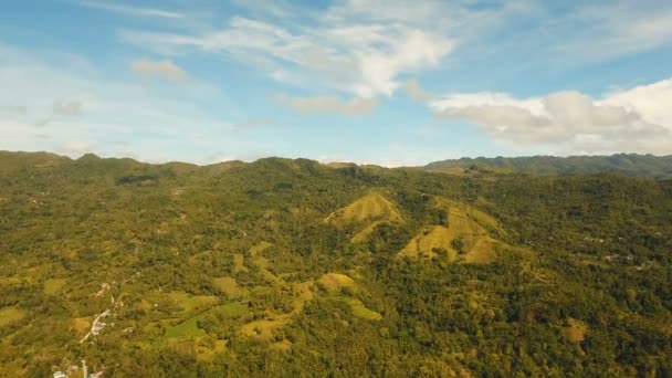 열 대 숲과 산입니다. 필리핀 Siargao 섬. — 비디오