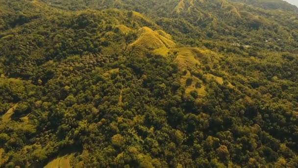 Montanhas com floresta tropical. Filipinas Siargao ilha . — Vídeo de Stock