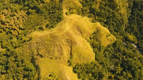 Горы с тропическим лесом. Филиппины, Сиаргао . — стоковое видео