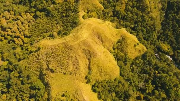 Bergen met regenwoud. Filippijnen Siargao eiland. — Stockvideo