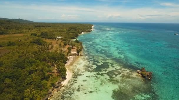 Tropik ada, plaj, resort otel ile deniz manzarası. Bohol, Anda alan, Filipinler. — Stok video