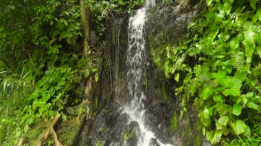 Güzel tropik şelale. Filipinler Cebu Adası.