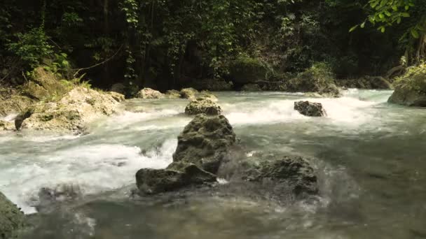 Río en la selva tropical — Vídeo de stock