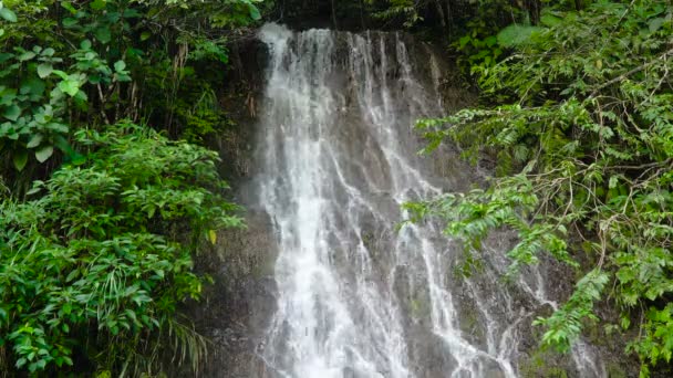 Beautiful tropical waterfall. Philippines Cebu island. — Stock Video