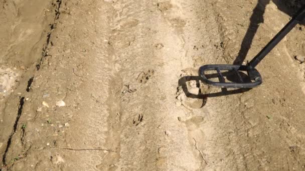 El hombre con un detector de metales está buscando tesoros . — Vídeos de Stock