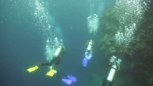 Scuba Divers underwater. — Stock Video