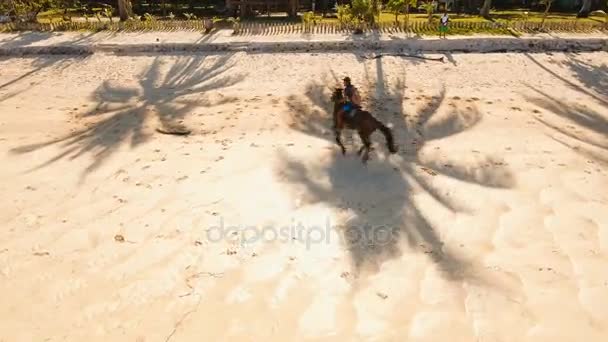 Lovaglás lovas Légifelvételek a strandon. — Stock videók
