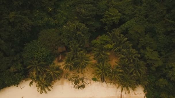 ボート、空撮と熱帯のビーチ。熱帯の島. — ストック動画