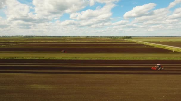 Tractor verbouwt de grond in het veld. — Stockvideo