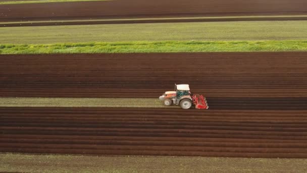 Tractor cultiva la tierra en el campo. — Vídeos de Stock