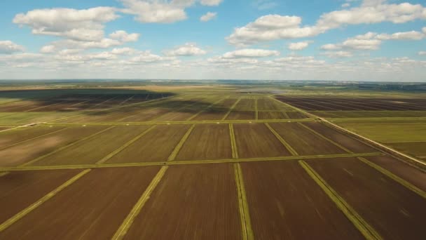 Luchtfoto van landbouwgrond. — Stockvideo