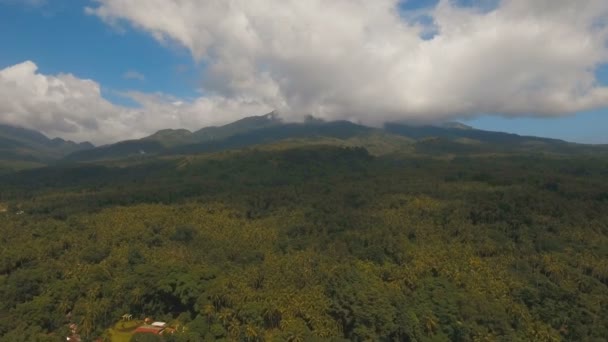 열 대 숲과 산입니다. 카 미 구인 섬 필리핀. — 비디오