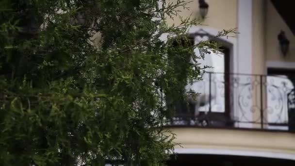 Robe de mariée en balcon . — Video