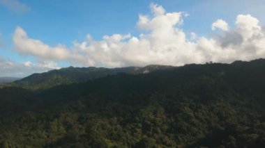 Tropikal orman ile Dağları. Filipinler Catanduanes Adası.