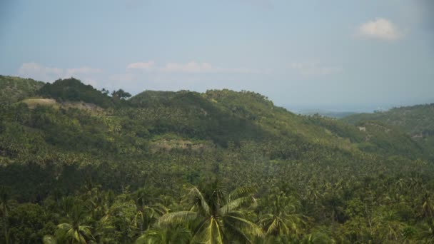 Montañas con bosque tropical. Filipinas Isla de Cebú. — Vídeos de Stock