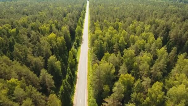 Autobahn inmitten des Waldes. — Stockvideo