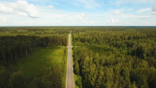 Autostrada tra la foresta . — Video Stock