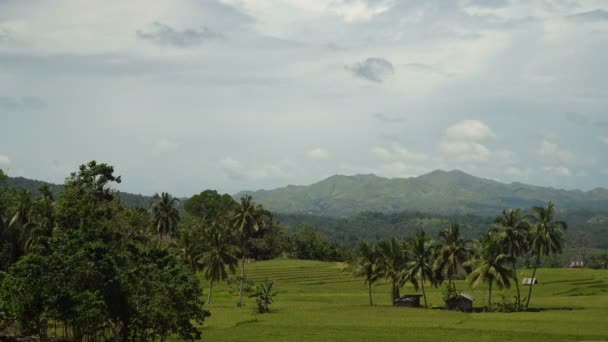 Hory s tropickým lesem. Filipíny Bohol island. — Stock video