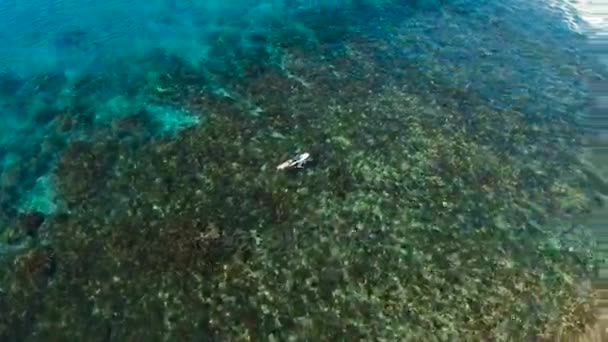 Surfistas de vista aérea en las ondas.Siargao, Filipinas. Nube 9 . — Vídeo de stock