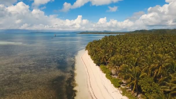 Εναέρια προβολή όμορφη παραλία σε ένα τροπικό νησί. Siargao Φιλιππίνες. — Αρχείο Βίντεο