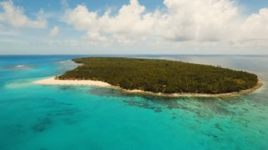 Havadan görünümü güzel plaj tropikal adada. DACO Adası, Filipinler, Siargao.
