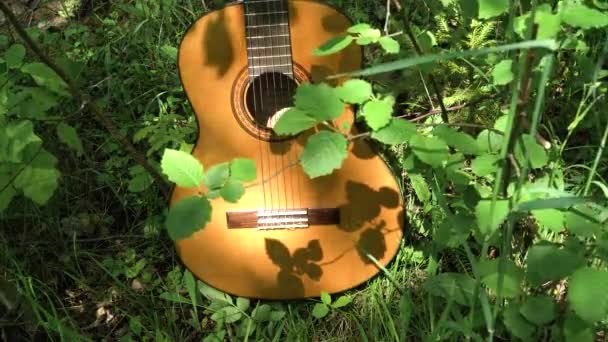 Guitarra acústica na floresta . — Vídeo de Stock