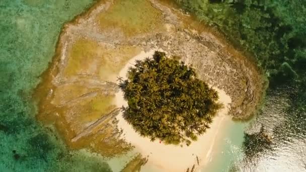 Aerial view beautiful beach on tropical island. Guyam island, Philippines, Siargao. — Stock Video