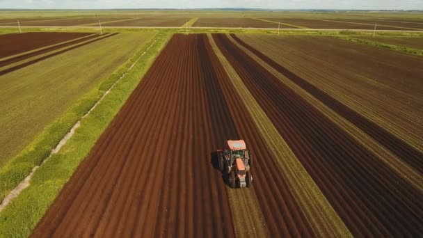 Ciągnik uprawia ziemię na polu. — Wideo stockowe