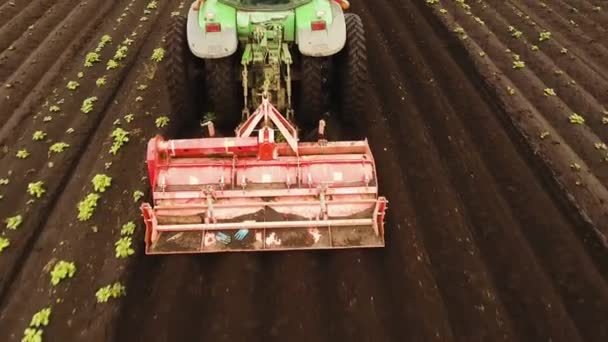 Tracteur cultive la terre dans le champ. — Video