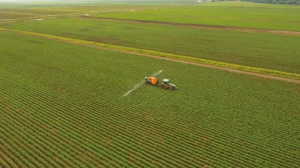 Traktor sprutar gödselmedel fält. — Stockvideo