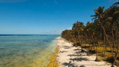 Hava güzel bir plaj tropikal bir adada görüntüleyin. Filipinler, Siargao.