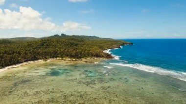 Hava güzel bir plaj tropikal bir adada görüntüleyin. Filipinler, Siargao.