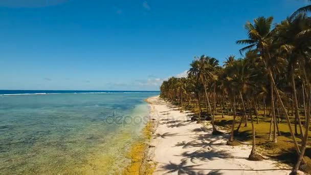 Vista aerea bellissima spiaggia su un'isola tropicale. Filippine, Siargao . — Video Stock