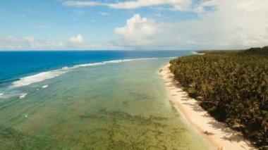 Hava güzel bir plaj tropikal bir adada görüntüleyin. Filipinler, Siargao.