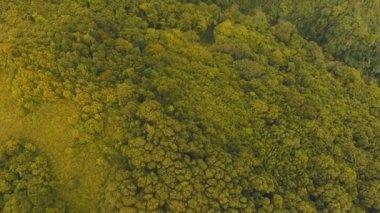 Havadan görünümü akşam yağmur ormanları. Camiguin Adası Filipinler.
