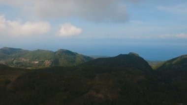 Tropikal ormanlı dağlar. Filipinler Cebu Adası.