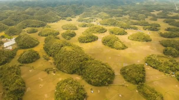 Čokoládové kopce v Bohol, Filipíny, letecký pohled. — Stock video