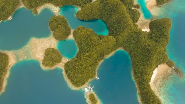 Hava manzaralı tropikal göl, deniz, sahil. Bucas Grande Adası, Sohoton Koyu. Filipinler. — Stok video