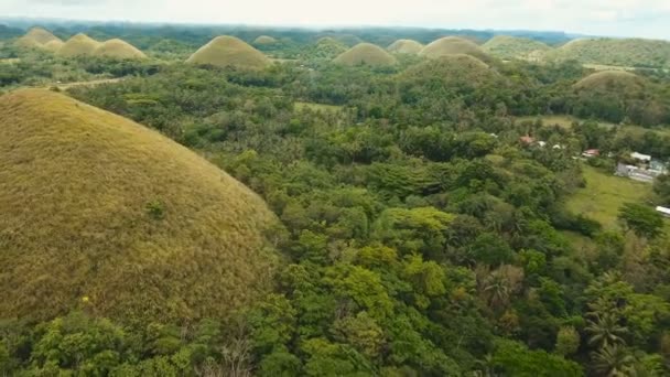 Csokoládé-hegyek Bohol, Fülöp-szigetek, légifelvételek. — Stock videók