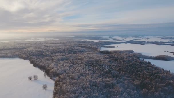 Vinterlandskap med skog, fält. Vinterlandskap. — Stockvideo