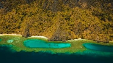 Hava manzaralı tropikal göl, deniz, sahil. Tropikal ada. Busuanga, Palawan, Filipinler.