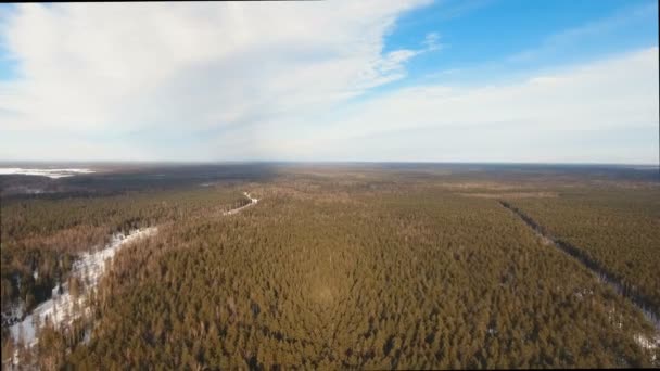 Vinterlandskap med skog. — Stockvideo