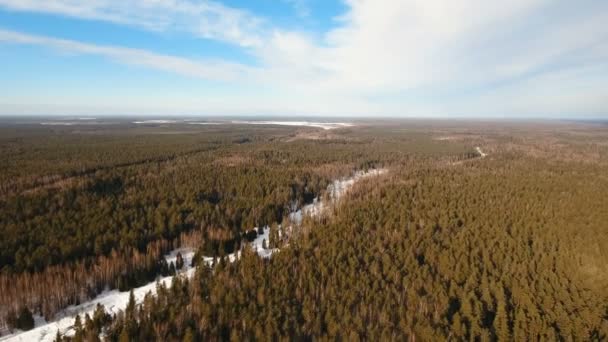 Vinterlandskap med skog. — Stockvideo