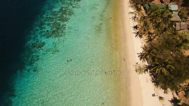 Widok z lotu ptaka piękna plaża na tropikalnej wyspie Banan. Filipiny. — Wideo stockowe