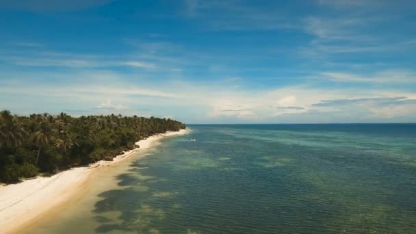 En vakker strand på en tropisk øy. Filippinene, Anda-området . – stockvideo