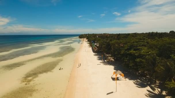 Antenne bekijken strand op een tropisch eiland. Filippijnen, Anda gebied. — Stockvideo