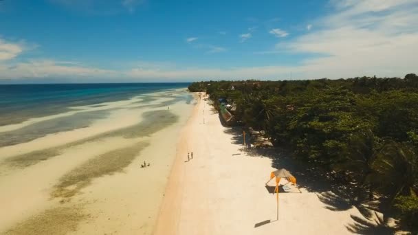 Vista aérea bela praia em uma ilha tropical. Filipinas, área de Anda . — Vídeo de Stock