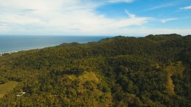 Góry z lasów tropikalnych. Wyspa Bohol Filipiny. — Wideo stockowe